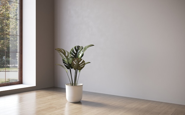 Interior with decorative indoor plants on empty wall background 3D illustration cg render