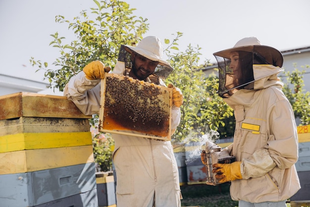 International team of happy beekeepers man takes out a wooden frame from a beehive