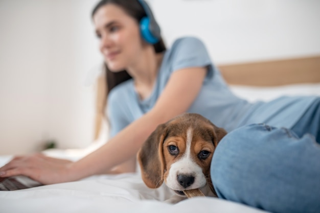 On internet. Dark-haired young woman listening to music and spending time on line