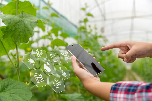 Internet of Things IoT with Farming Smart concept Agriculture and modern technology are used