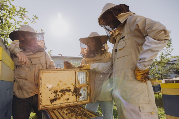 Interracial team of beekeepers working to collect honey Organic beekeeping concept Bee queen hive