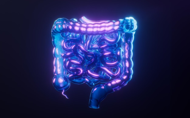 Photo intestinal tract with dark neon light effect 3d rendering