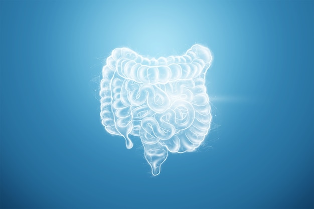 Photo intestines hologram on a blue background. constipation