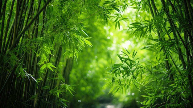 Into the Jungle Experience the lush greenery of a bamboo grove from a low angle view where towering trees create a serene canopy