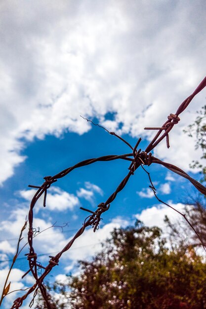 Intresting barbed wire on vertical background of blue sky with clouds and leaves Postcard poster Copy space ideal for use in the design or wallpaper Stories vertical format