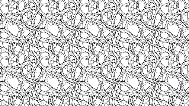 intricate black and white line pattern