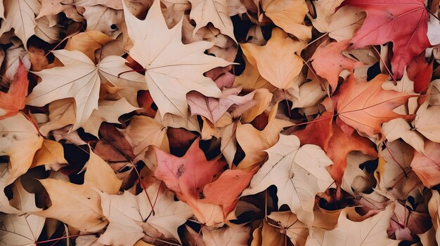 複雑な模様の乾燥した葉を間近で見る