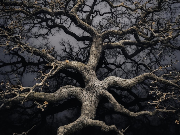 Intricate Silhouette of a Bare Tree Against a Moody Sky