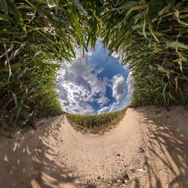 Inversie van blauwe kleine planeet transformatie van bolvormig panorama 360 graden bolvormige abstracte luchtfoto op maïsveld met ontzagwekkende mooie wolken kromming van de ruimte