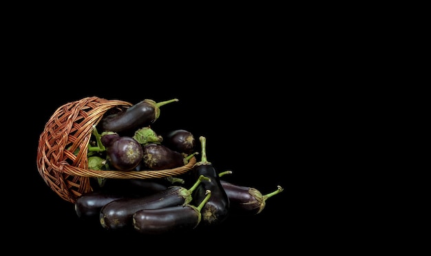 Of an inverted basket with an eggplant harvest on a black backgroundxA