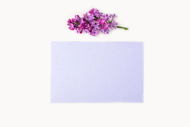 Invitation greeting card. Flat lay flowers composition for your lettering