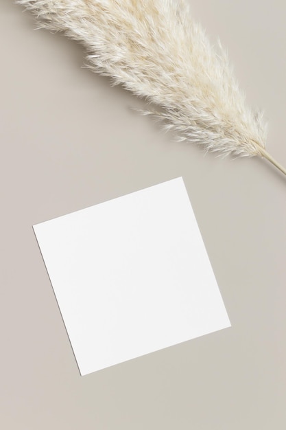 Invitation square card mockup with a pampas grass decoration