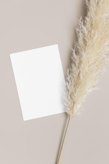 사진 a6 a5와 유사한 팜파스 잔디 장식 5x7 비율이 있는 초대 흰색 카드 모형