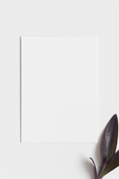 Photo invitation white card mockup with a flower 5x7 ratio similar to a6 a5