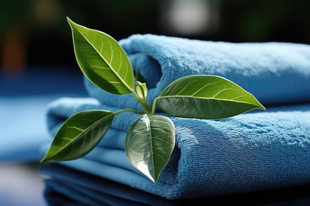 Inviting spa ambiance with soft towels and green leaves