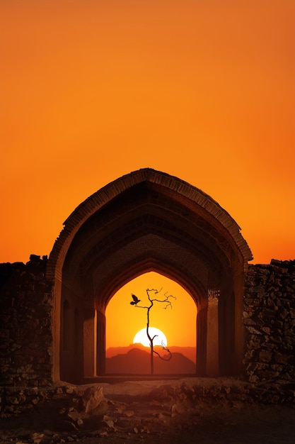 Iran Yazd Towers of silence Traditional architectural arch a dry lonely tree and a bird at sunset Copy space