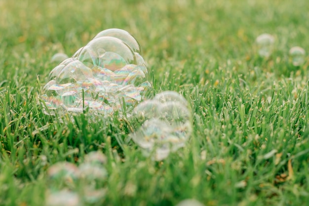 Iridescent rainbow flowers soap bubbles on green grass on lawn in summer Children's games and entertainment