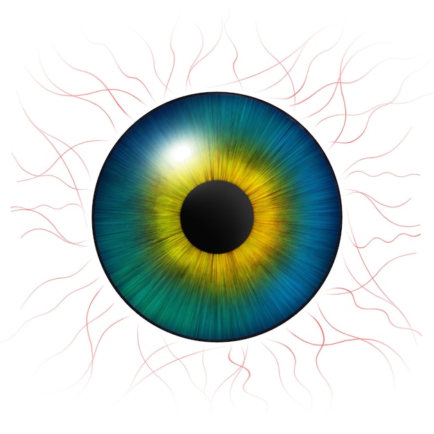 Iris eyes Human iris with blood veins Eye illustration Blue eye Creative digital graphic design