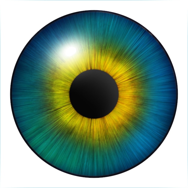 iris eyes human iris with blood veins illustration of an eye creative digital graphic design