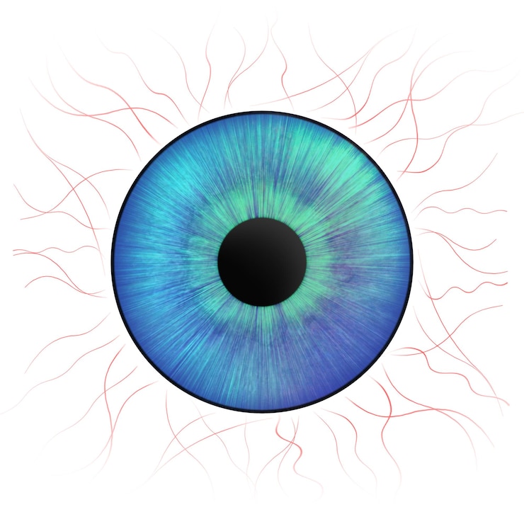Photo iris eyes human iris with blood veins illustration of an eye creative digital graphic design