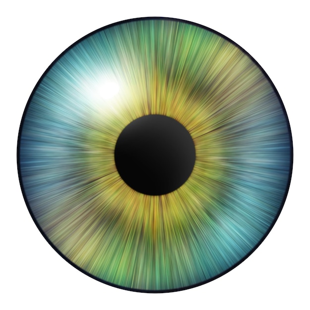 iris eyes human iris with blood veins illustration of an eye multicolored eye on a white background