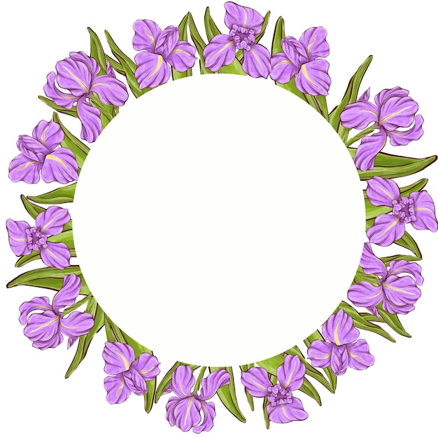 iris flowers illustration set