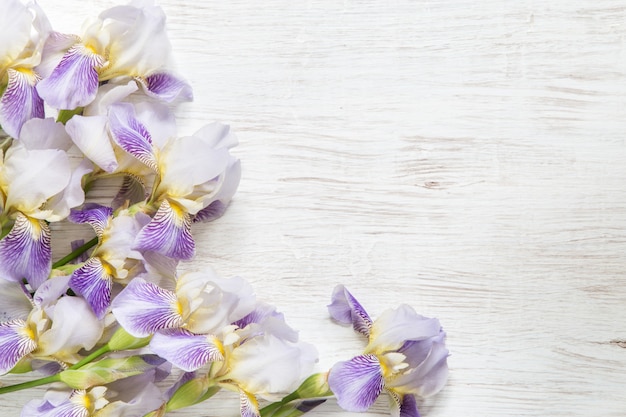 Iris flowers on wooden background