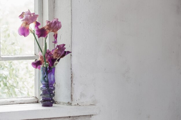 Iris in a vase on a windowsill