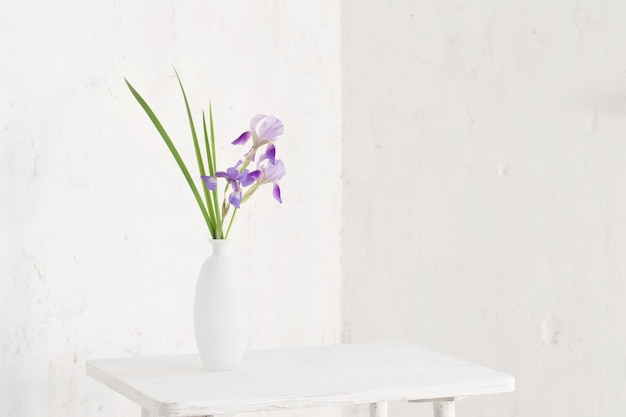 Iris in white vase on white background