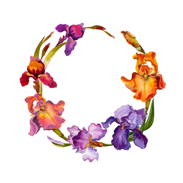 Irises watercolor beautiful flowers wreath  isolated on white.