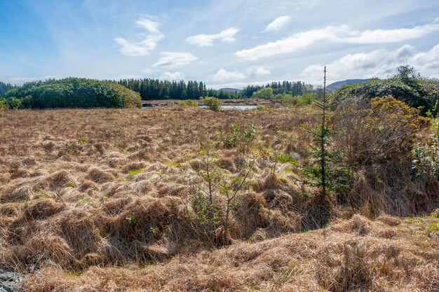 irish landscape