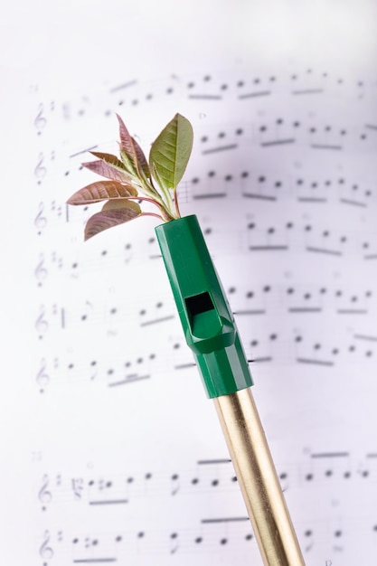 Photo an irish penny whistle and a notebook with notes