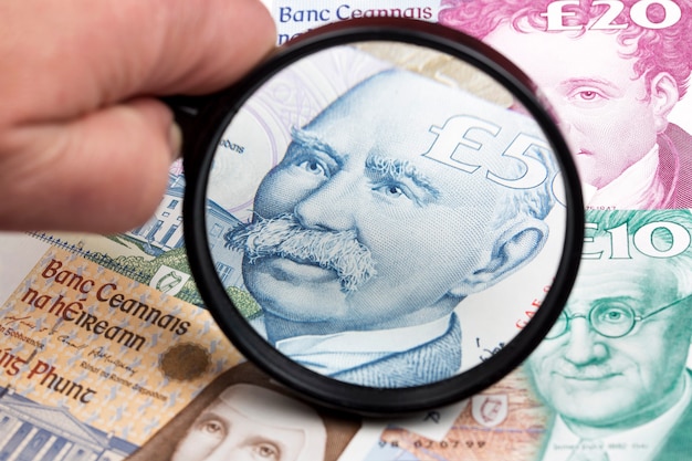 Irish pound in a magnifying glass