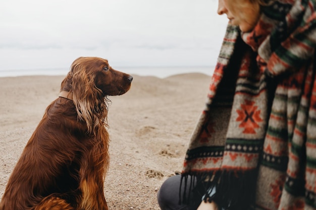 Irish setter dog looking at the mistress