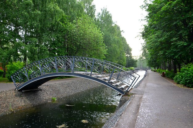 iron bridge across the stream with green trees on background in rainy day