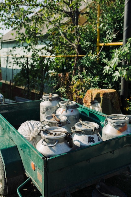Photo iron cans with fresh milk in green trailer in sunlight