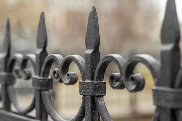 Iron Decorative Fence Closeup Shallow Depth Of Field