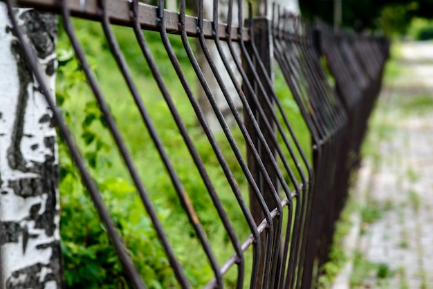 Photo iron fence in nature.