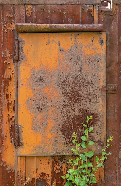 Iron old closed window of a rusty shipping container close up