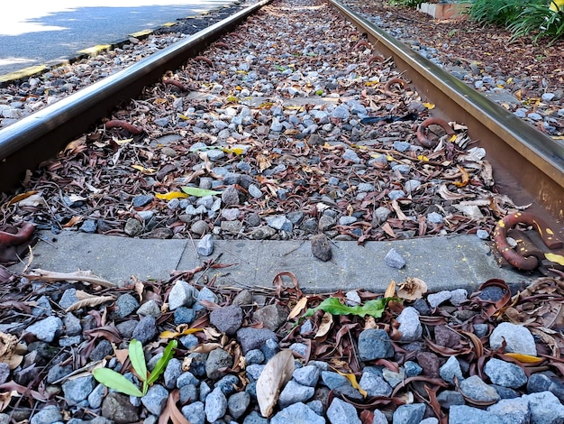 鉄のレール 列車を輸送するための線路または線路