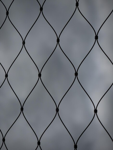 Iron wire fence web riveted twirl steel wire fence in rainy weather