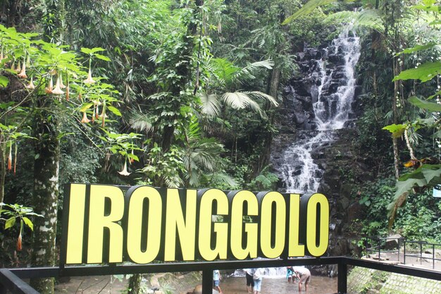 Photo ironggolo waterfall is located in kediri district flowing over mountain rocks