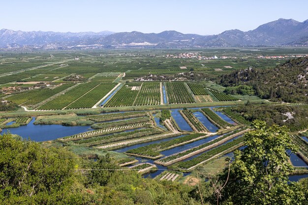 Photo irrigated fields, top view