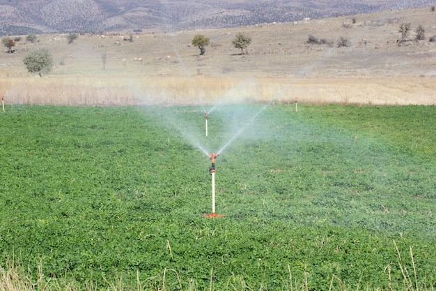 Irrigation Equipment Agricultural Water Sprinklers Watering Farm Plants Crop Field Clover Field