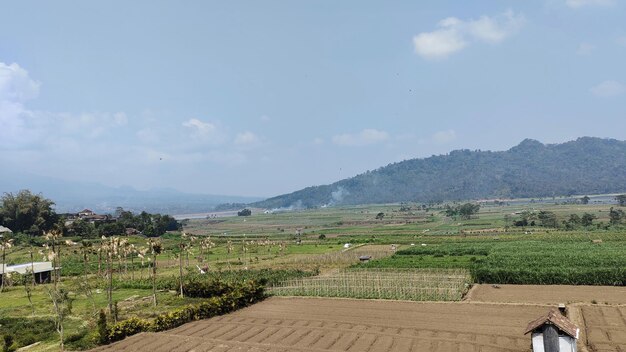 Irrigation equipment in ngantang