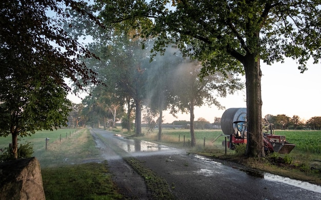 Irrigation farm fields sunset hot air balloon water trees