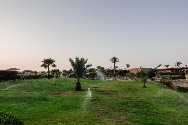 irrigation in a green garden with palms from a resort