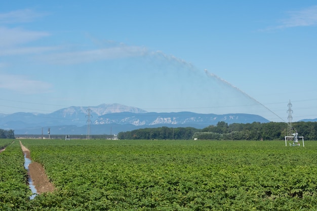 平らな風景の緑の野原の灌漑機