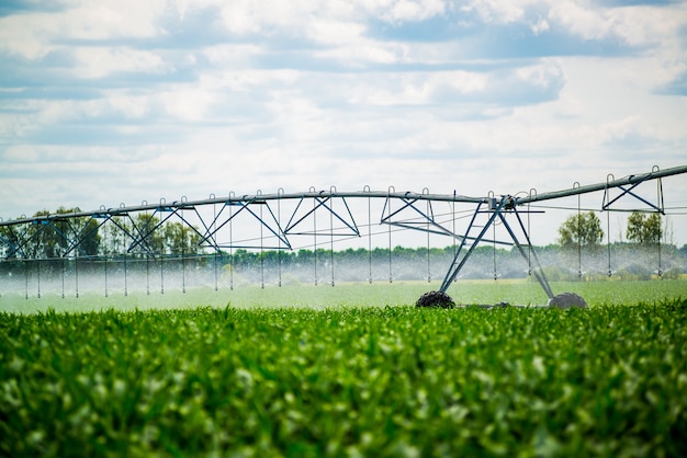 An irrigation pivot watering a field