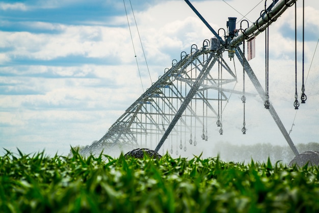 An irrigation pivot watering a field